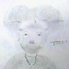 www.taadi