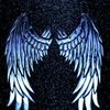 vijay_bubu