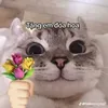 trm.mu