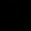 leonardogrc17