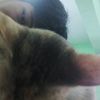 indomie_bakar__