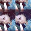 a_yin27