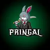 pringal_x_extra