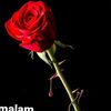 irfah_123