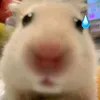 its_kristhel0917