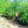 alvinrere