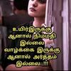 user3631323370331