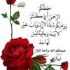 user7687868537266