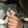 sunnychu21
