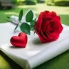 aboezn80