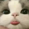 embethichngu_08
