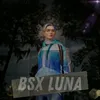 bsx_luna