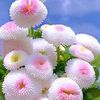 atemebang.lucy