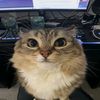 babblegame_