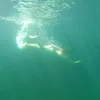 vik_nz12
