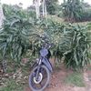 aan.yulianto8