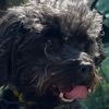 billy_max_