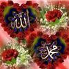 user5250357561395