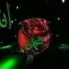 reni.mehmed3