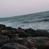 loga0745