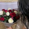ilvya8