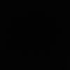 diee_511