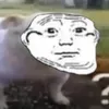 supereafr
