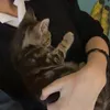 lluvs.won