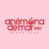 anemonademarcozumel