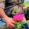 ali7382751