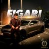 elegant_figari