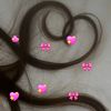 503dailyn3