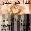 zy_0p