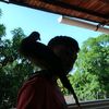 dylangc_335