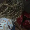 dhr_samy
