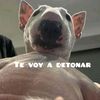 gabrielvocsmr