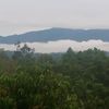 wahyuranau0