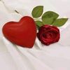 hesty.madjid