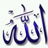 mdshahadathossain8867