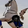 yassinoomar5