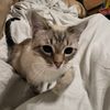 sammy87114