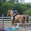 charlotterose_eq