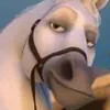 maximus77553311