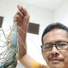 udin19051974