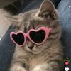 imaa_sundaa