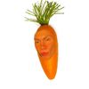 l29.5carrot