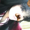 bodocthan_ok