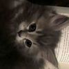 jana_rizk25