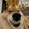truongthanhlam13