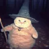 ir._zz